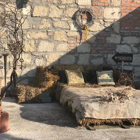 Madarlatta Vendeghaz Hotell Fertőrákos Eksteriør bilde